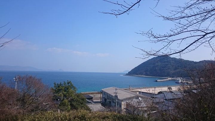 柳井市平郡島に行って参りました！

のどかで、穏やかな、素晴らしpic5