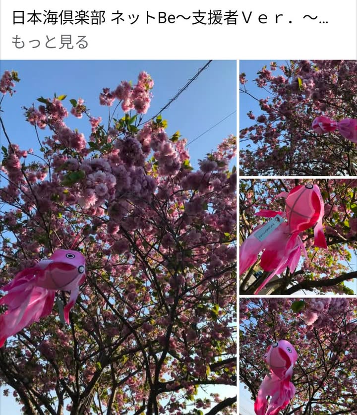 今年のGOTCHA!! RALLYが始まりました！

発信地は「pic5