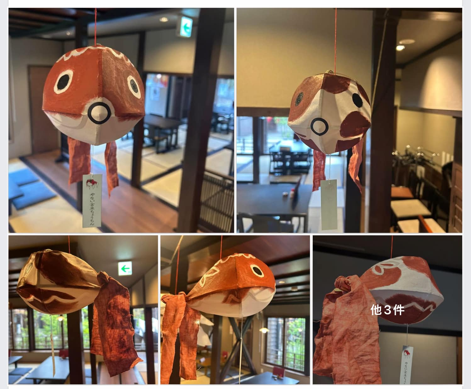 柳井から旅立った

“色つけ前の”金魚ちょうちん約400個が

pic18