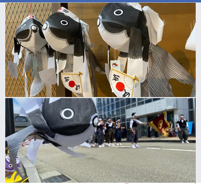 柳井から旅立った

“色つけ前の”金魚ちょうちん約400個が

pic5