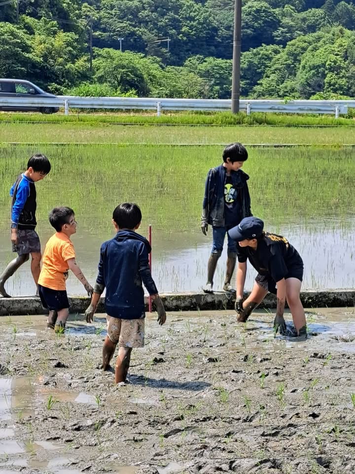 田植え体験✨✨

自然が与えてくれる食べ物、水、空気、四季の彩りpic11