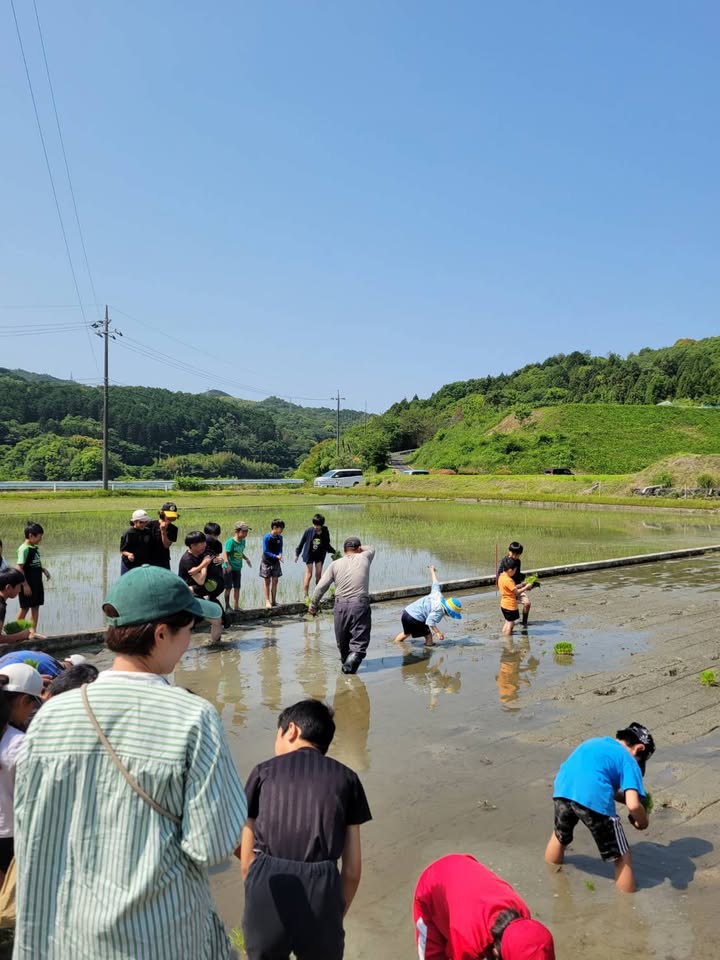 田植え体験✨✨

自然が与えてくれる食べ物、水、空気、四季の彩りpic2