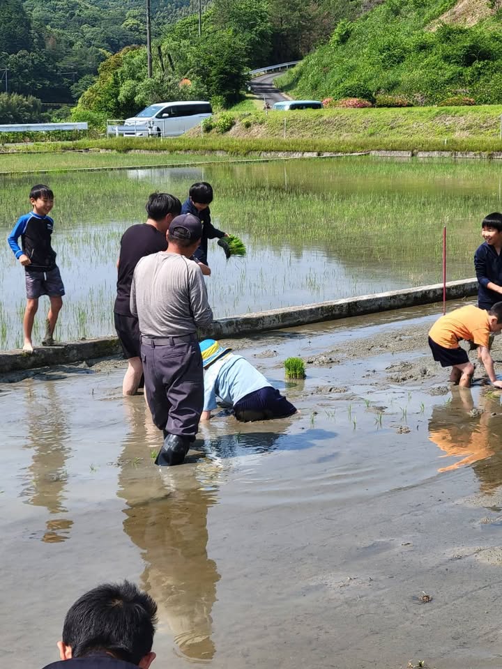 田植え体験✨✨

自然が与えてくれる食べ物、水、空気、四季の彩りpic4