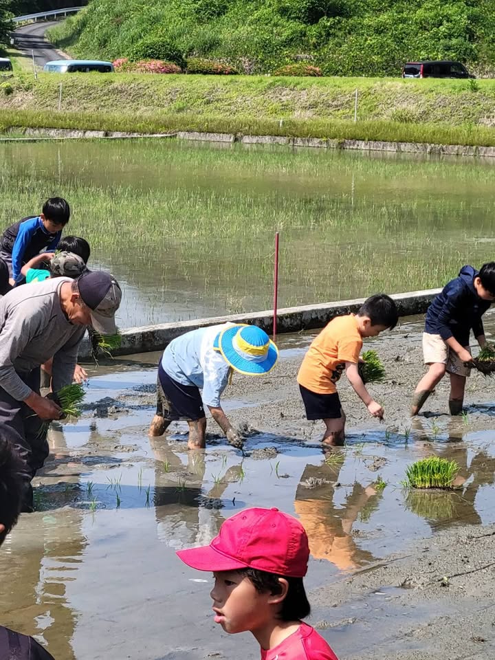田植え体験✨✨

自然が与えてくれる食べ物、水、空気、四季の彩りpic5