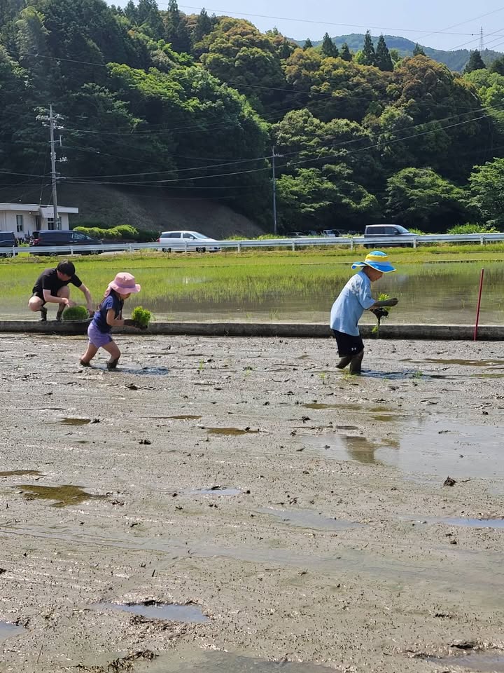 田植え体験✨✨

自然が与えてくれる食べ物、水、空気、四季の彩りpic6