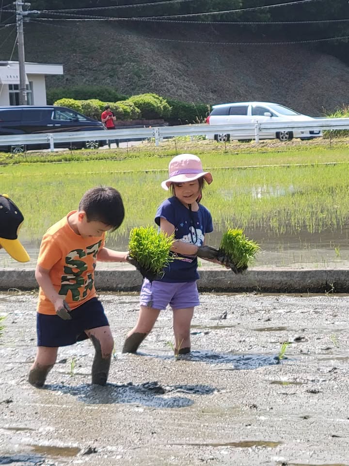 田植え体験✨✨

自然が与えてくれる食べ物、水、空気、四季の彩りpic7
