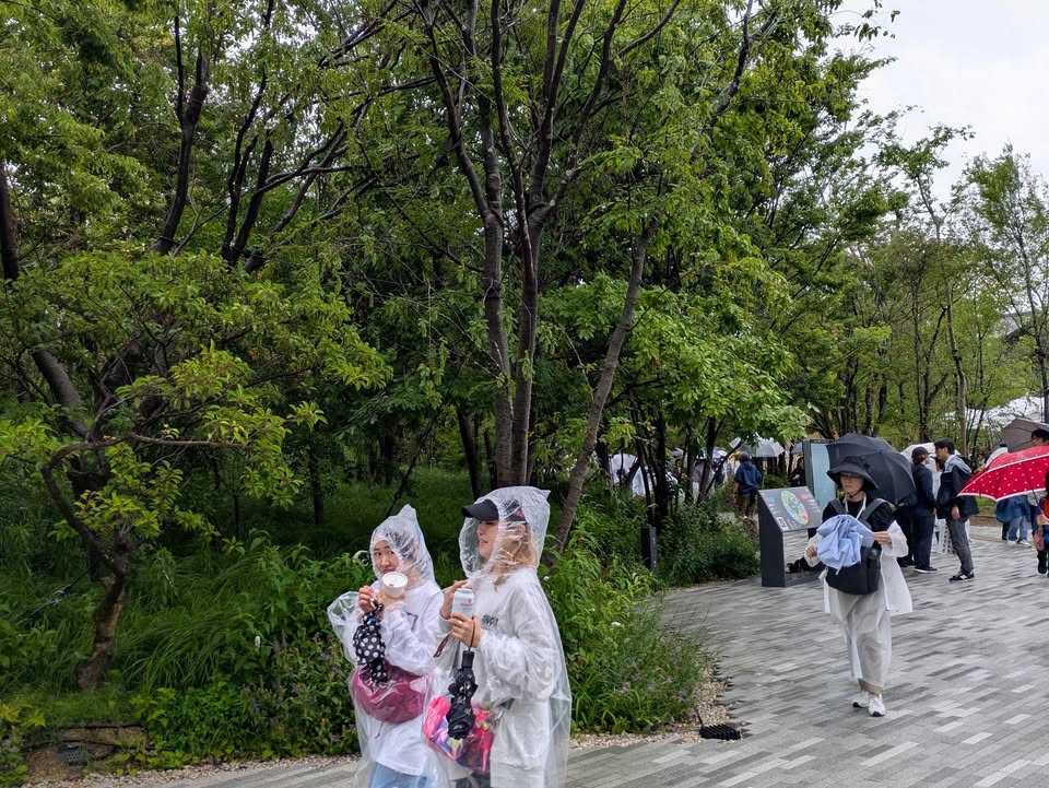 大阪・関西万博で「山口県ブース」が出展されたのを機に、山口県議会pic7