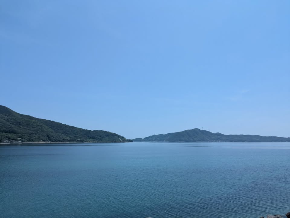 出馬会見後、多くの皆様から温かい応援やご期待のお声をいただき、勇