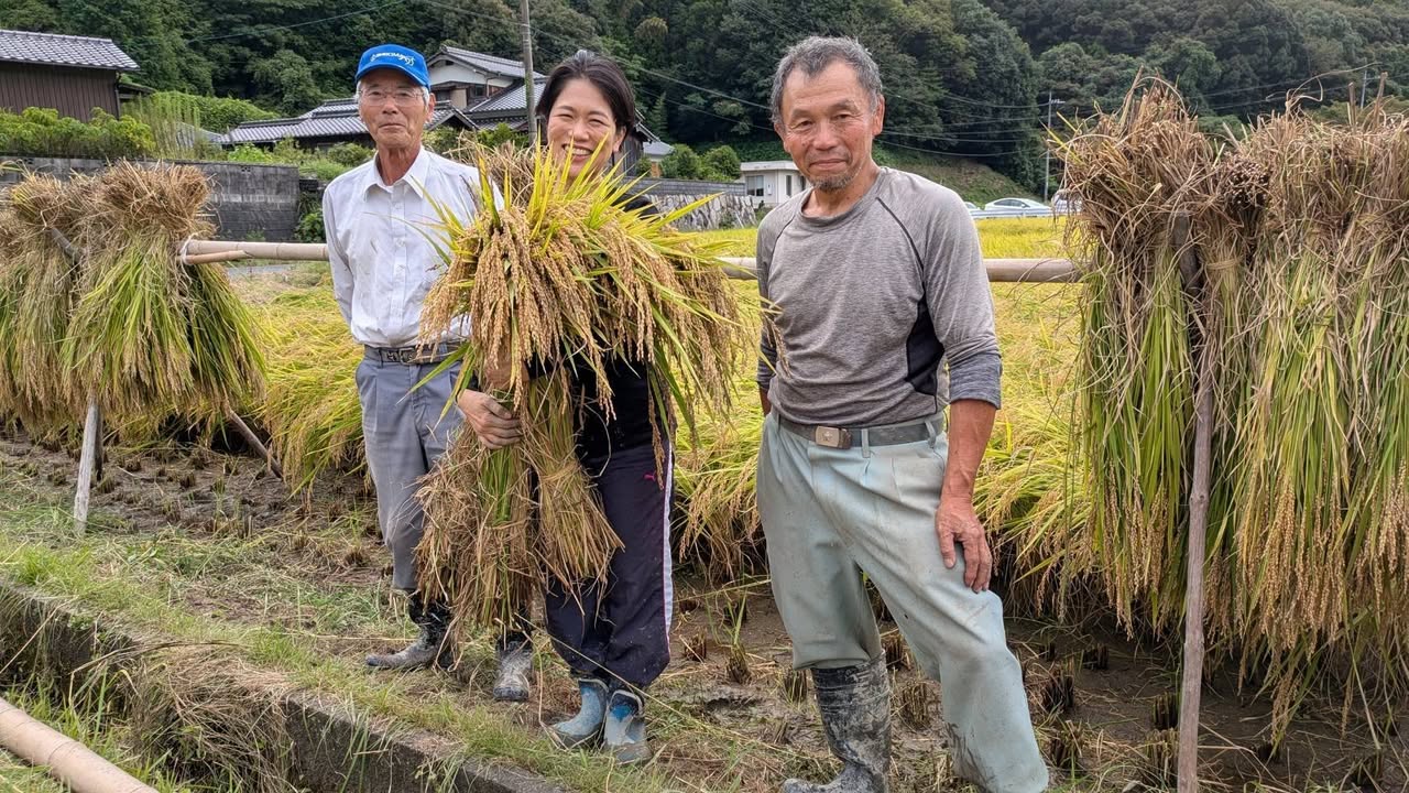 6月に植えた田んぼの稲刈り🌾✨

自然が与えてくれる食べ物、水、pic1