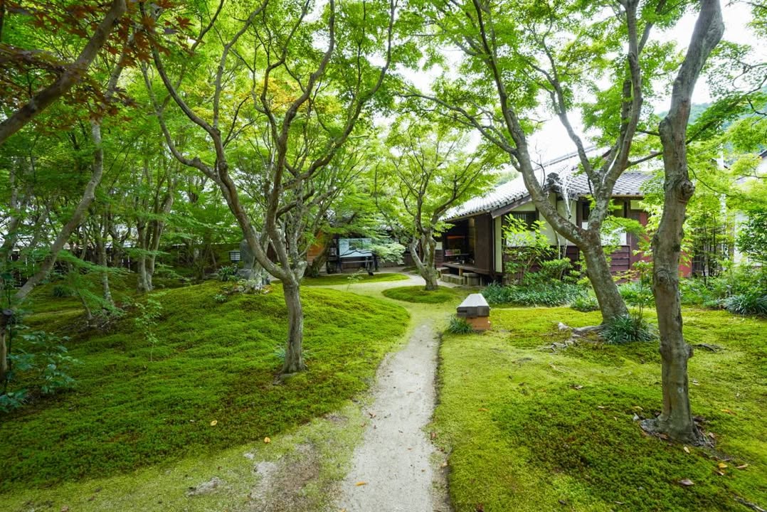 宇野千代さんの生家で「もみじ茶会」

紅葉と苔のコントラストが美