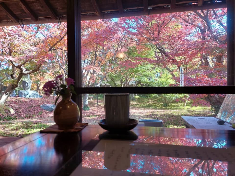 宇野千代さんの生家で「もみじ茶会」

紅葉と苔のコントラストが美pic3