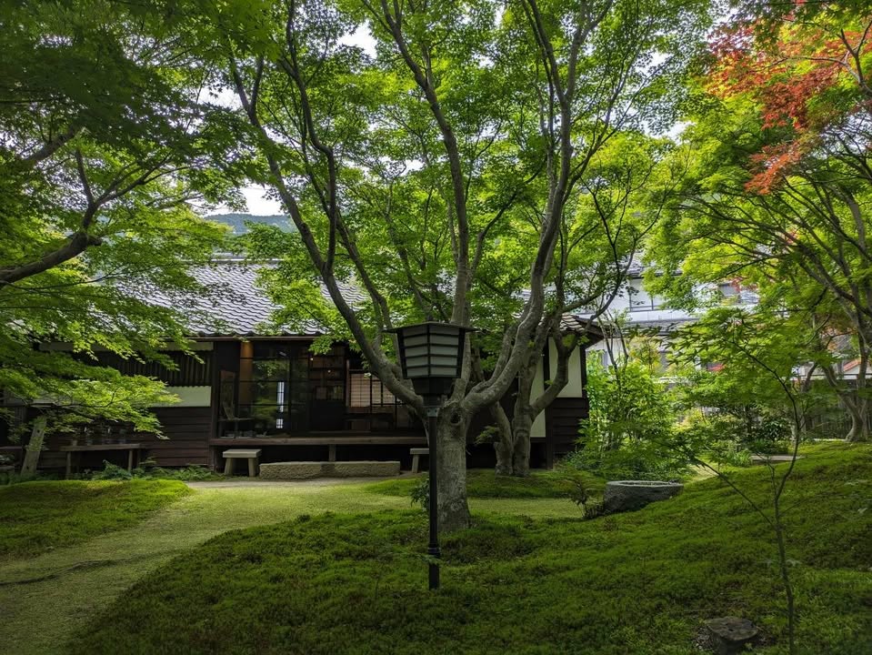 宇野千代さんの生家で「もみじ茶会」

紅葉と苔のコントラストが美pic5