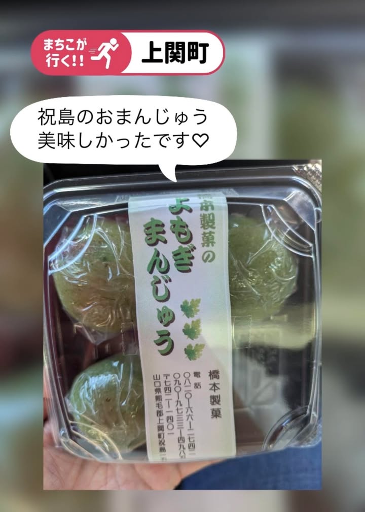 元気が出たよ

#有近まちこ #上関町 #祝島 #よもぎまんじゅ