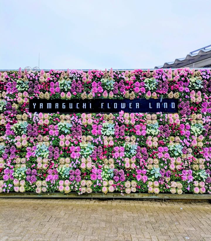 「会いに行こう！」#001

筆文字アーティスト 西本敏昭さん
pic4