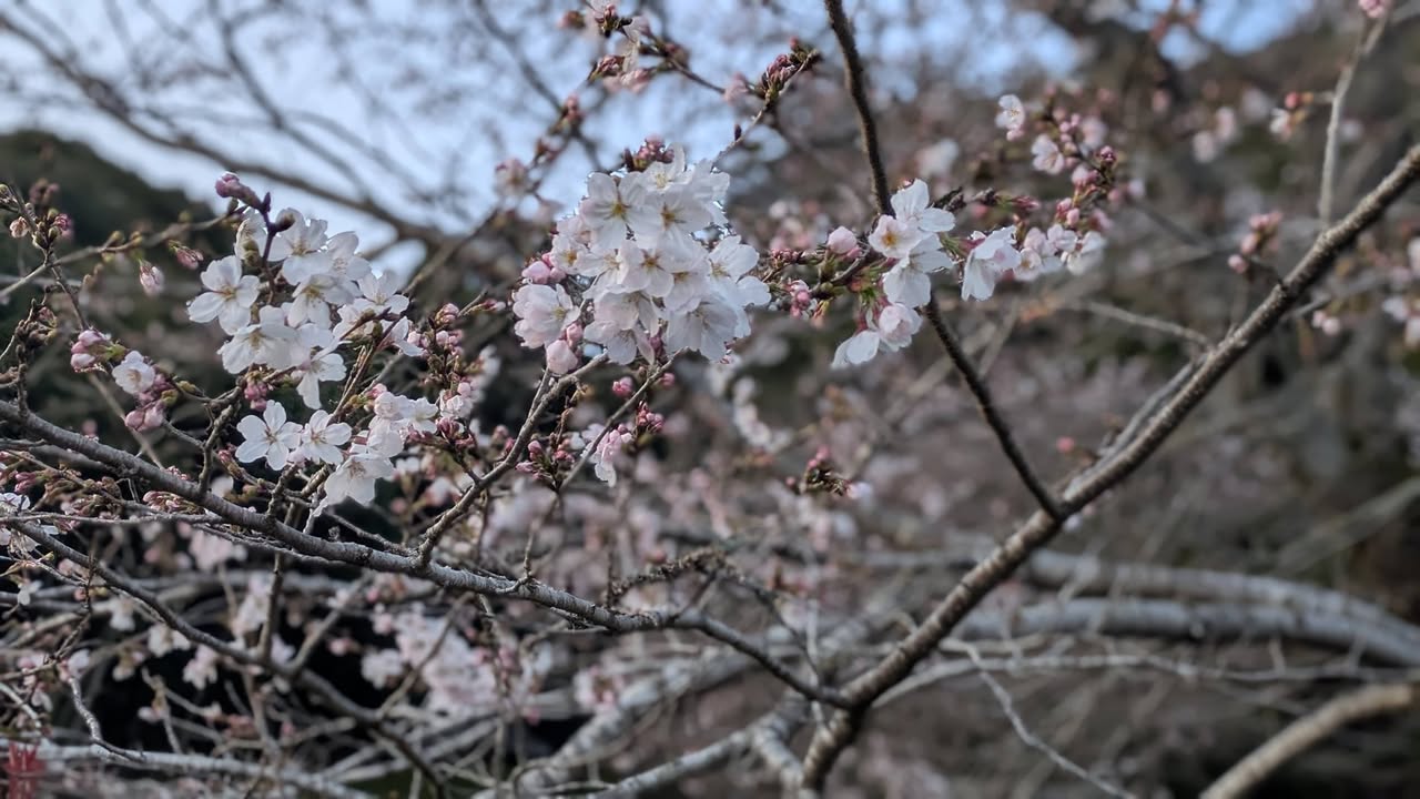 「会いに行こう！」 #003

郷土史家、奇兵隊の研究家である山pic3