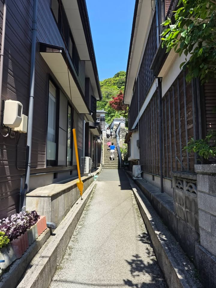 「会いに行こう！」#012

長門市・青海島(おおみじま)へ。
pic4