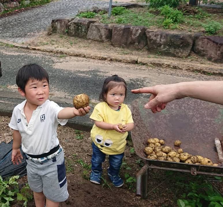きゅうりとミニトマトの実がなり始めました🥒🍅

じゃがいもは思っpic6