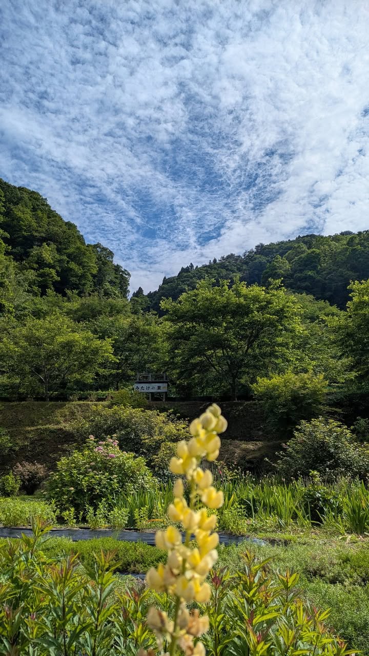「会いに行こう！」#035 周南市金峰（みたけ）

防長の吉野をpic4