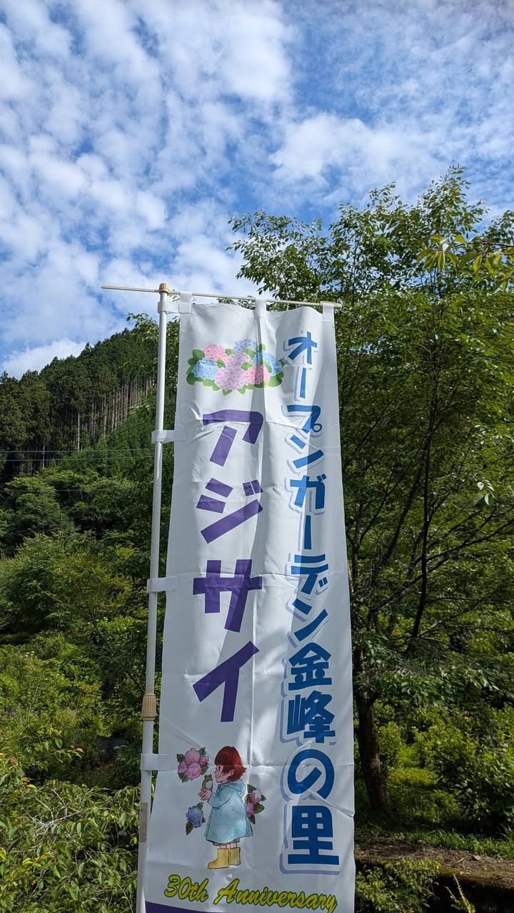 「会いに行こう！」#035 周南市金峰（みたけ）

防長の吉野をpic6