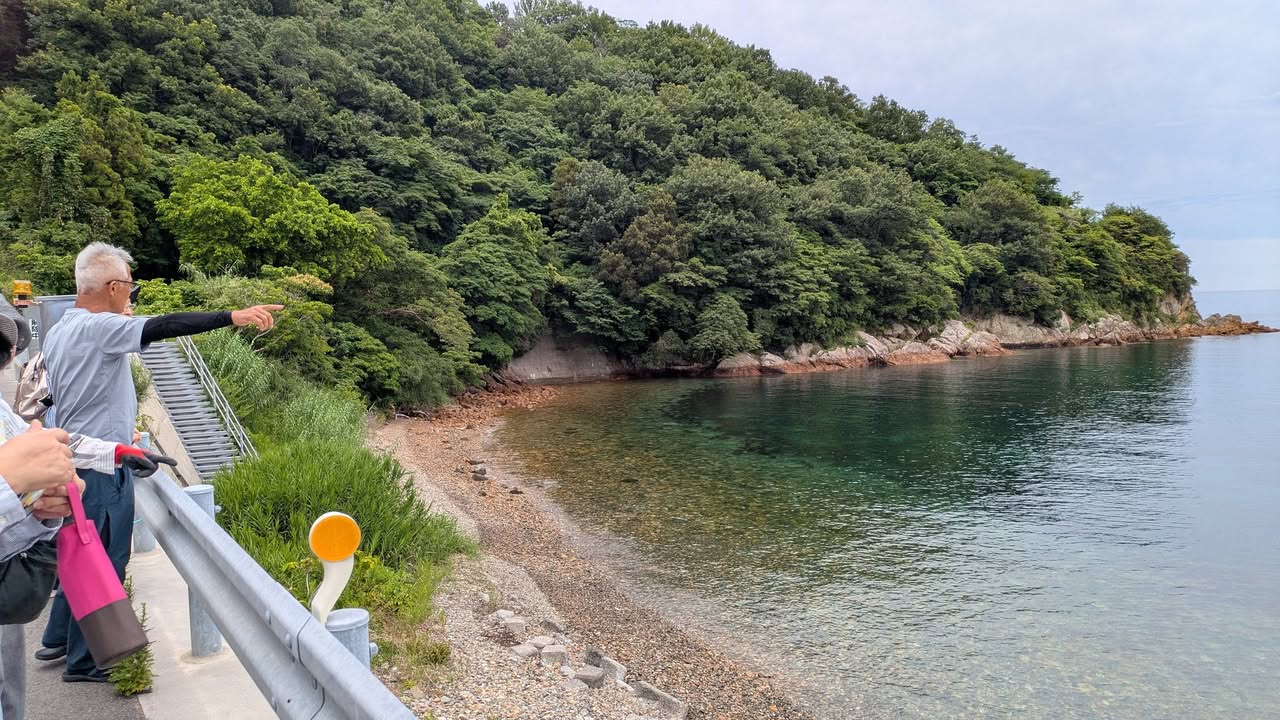 「会いに行こう！」#036 周防大島町　地家室（じかむろ）

日pic4