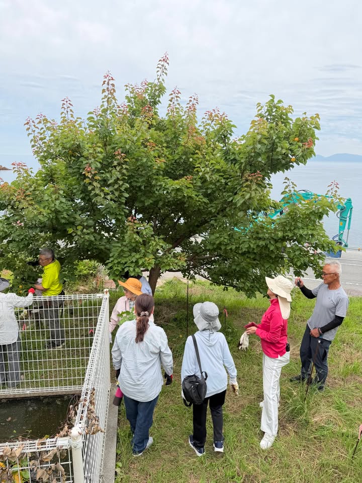 「会いに行こう！」#036 周防大島町　地家室（じかむろ）

日pic6