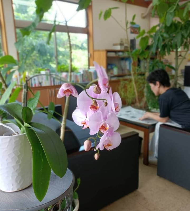 「AIに相談したら、『一刻も早く弁護士に相談してください。』と言pic2