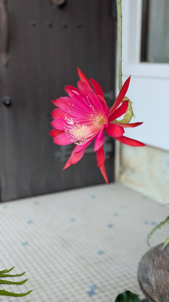 「会いに行こう！」#045　防府市

毎日暑いですね🌞

地域を