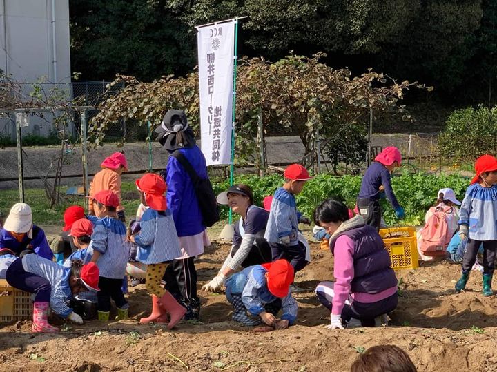 柳井西ロータリー地域共同体主催の
第11回保育園合同芋掘り大会にpic7