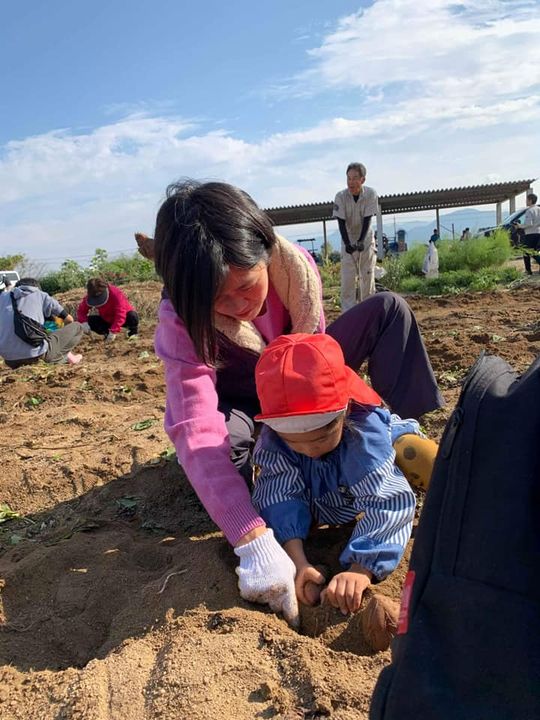 柳井西ロータリー地域共同体主催の
第11回保育園合同芋掘り大会にpic9