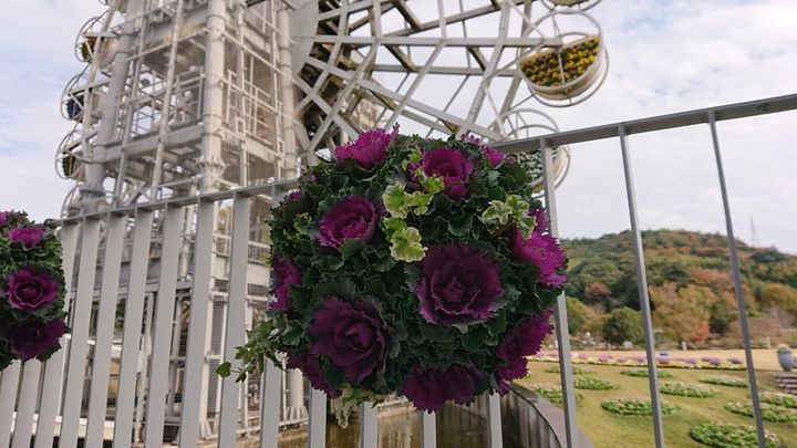 柳井市の
「やまぐちフラワーランド」

山口県の花き振興を目的とpic4