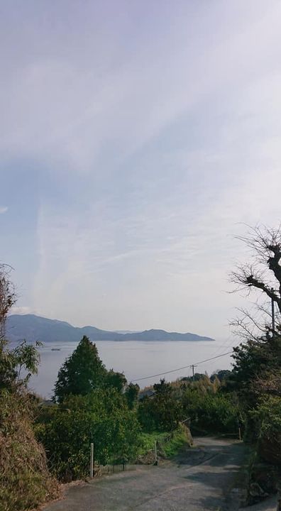 昨日、午前中は阿月の相ノ浦地区へ。

河津桜が咲き始めていましたpic3