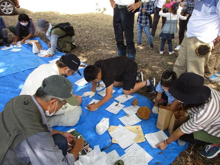 〈琴石山を未来に！〉

柳井市民を見守る琴石山。

頂上から眼下pic2