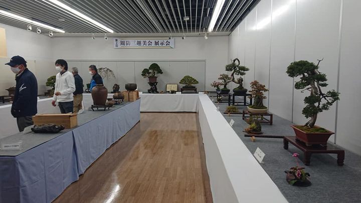 丹精込めて育てられた盆栽、山野草、金魚等の展示会

私も初心者なpic2