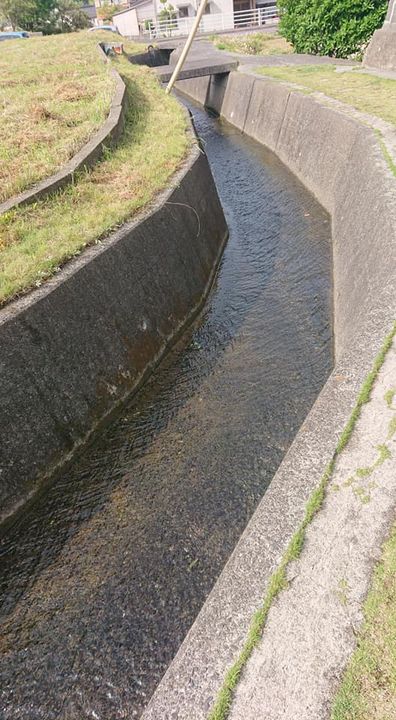 今朝は地域の清掃活動へ。

子供や若い方の参加も。

みんなで力pic3