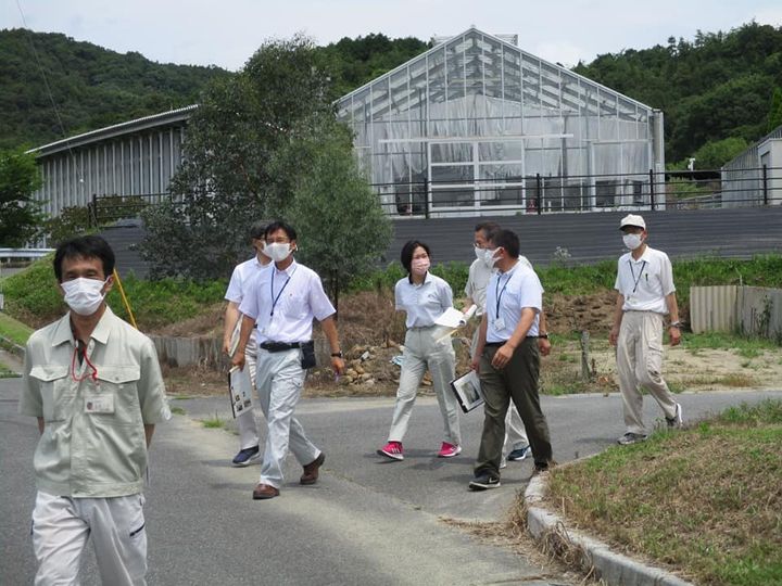 〈夏に映える、鮮やかな青。〉

柳井市は、日照時間が長いため、
pic3