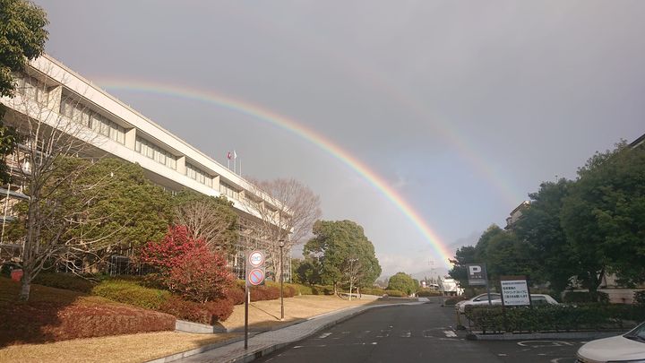 〈空に助けられる〉

年末から感染拡大が落ち着きつつあると誰しもpic2