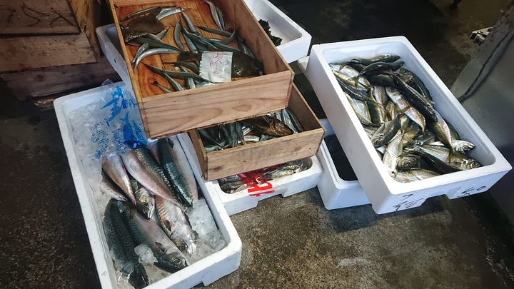 魚屋さんで、

旬の魚を見たり、

手際よく魚がさばかれるのを見