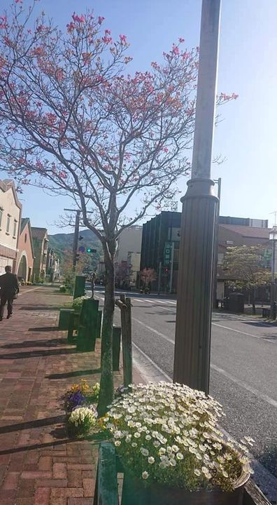 今朝は、柳井駅前で春の交通安全立哨。

新しい生活がスタートする