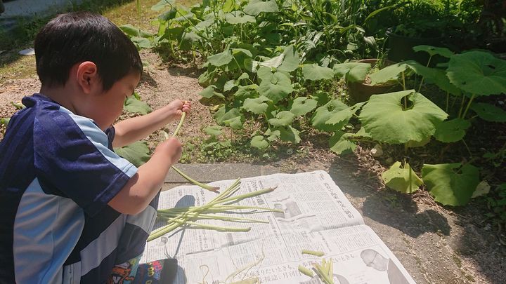 わらび、ふき、たけのこ、新茶

自然の恵みに感謝！pic2