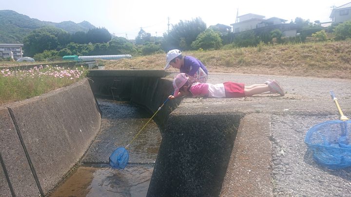 今日は自治会の清掃活動がありました。

きれいになった水路で生きpic2