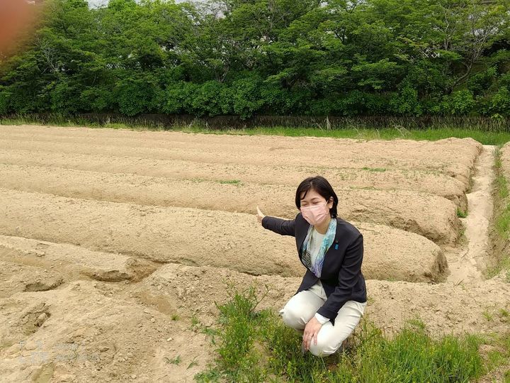 じねんじょ(自然薯)といえば、

柳井！！

柳井ルーツの自然薯pic4