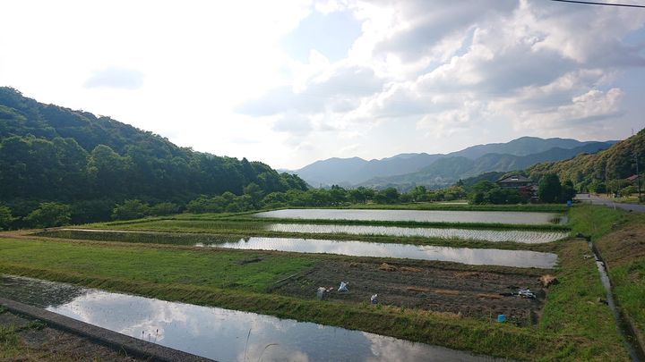 県議会6月定例会が始まりました。

原油物価高騰対策76.4億円