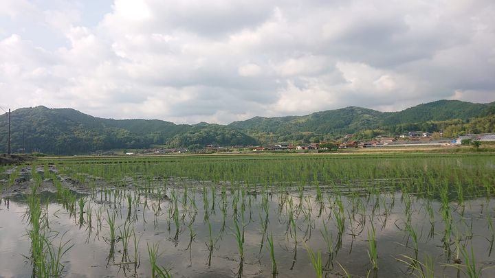 県議会6月定例会が始まりました。

原油物価高騰対策76.4億円pic2