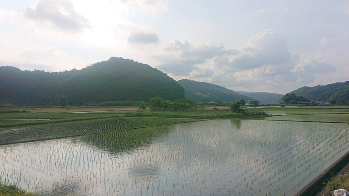 県議会6月定例会が始まりました。

原油物価高騰対策76.4億円pic3