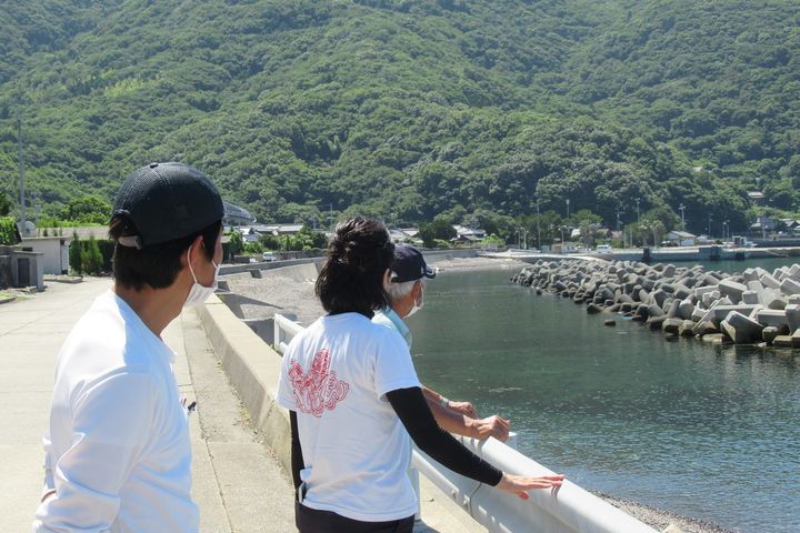 柳井市の離島

平郡島へ行って来ました。

自然豊かで、本当に素pic2