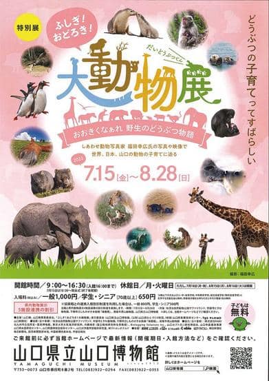 今年も夏休みがやって来ます。

山口県立山口博物館 では「ふしぎpic3