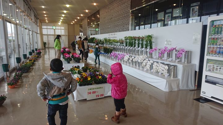 3年ぶりの柳井まつり。

今朝の大雨で、花傘おどりや子供みこしなpic7